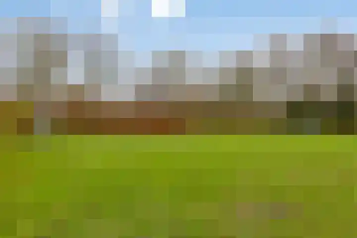 Jollenpad 30 Alkmaar thumbnail 35
