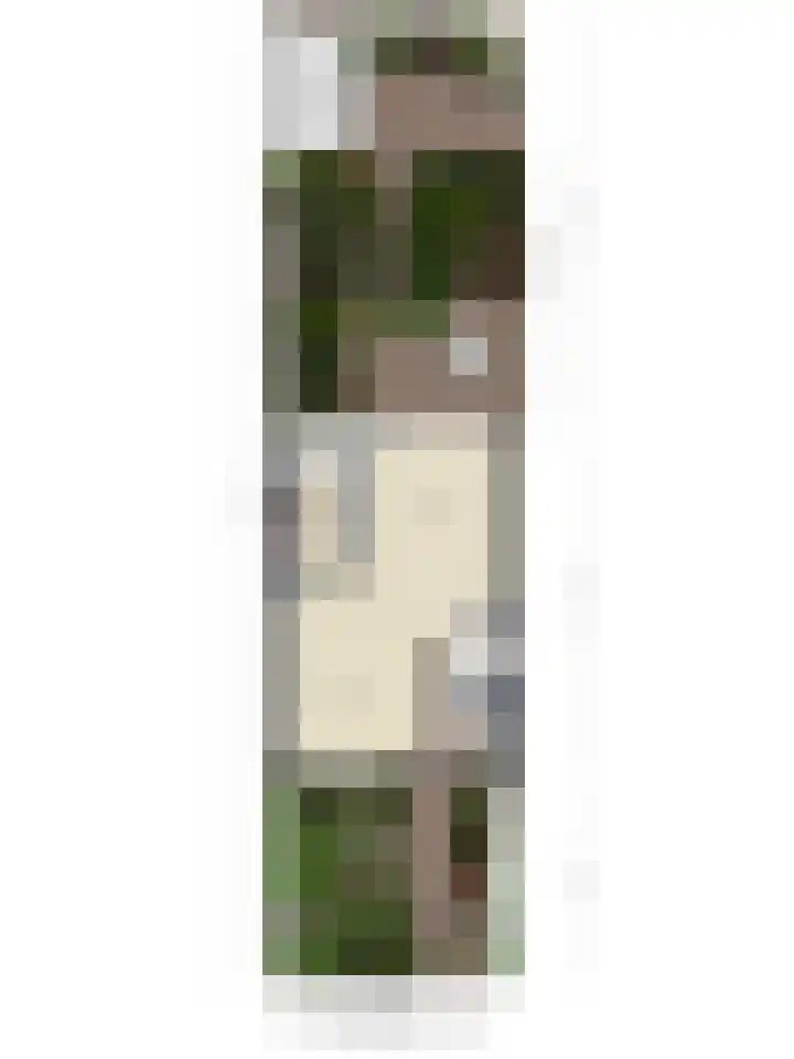 Jollenpad 30 Alkmaar thumbnail 36