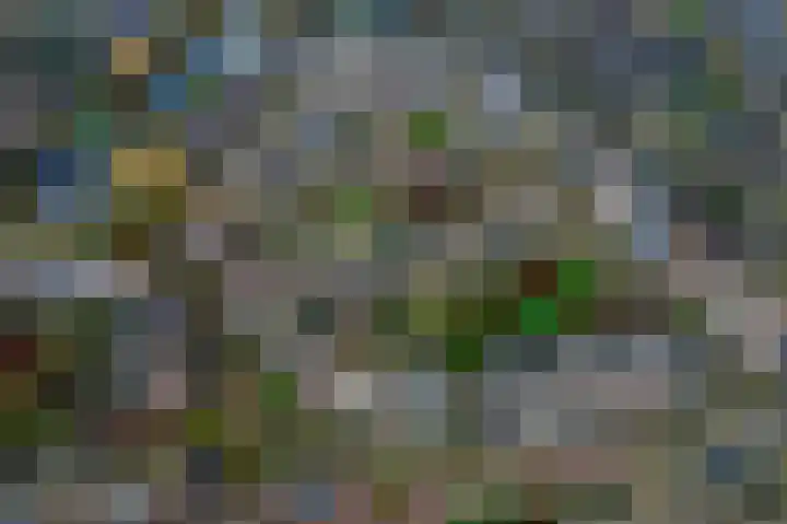 Jollenpad 30 Alkmaar thumbnail 4