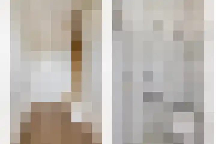 Jollenpad 30 Alkmaar thumbnail 8