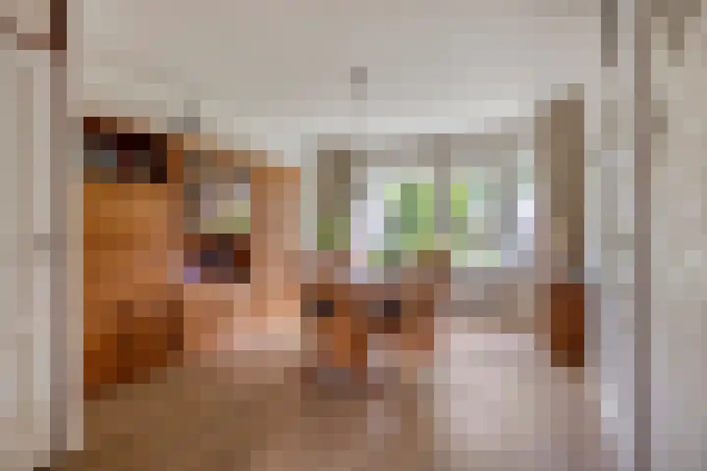 Jollenpad 31 Alkmaar thumbnail 13