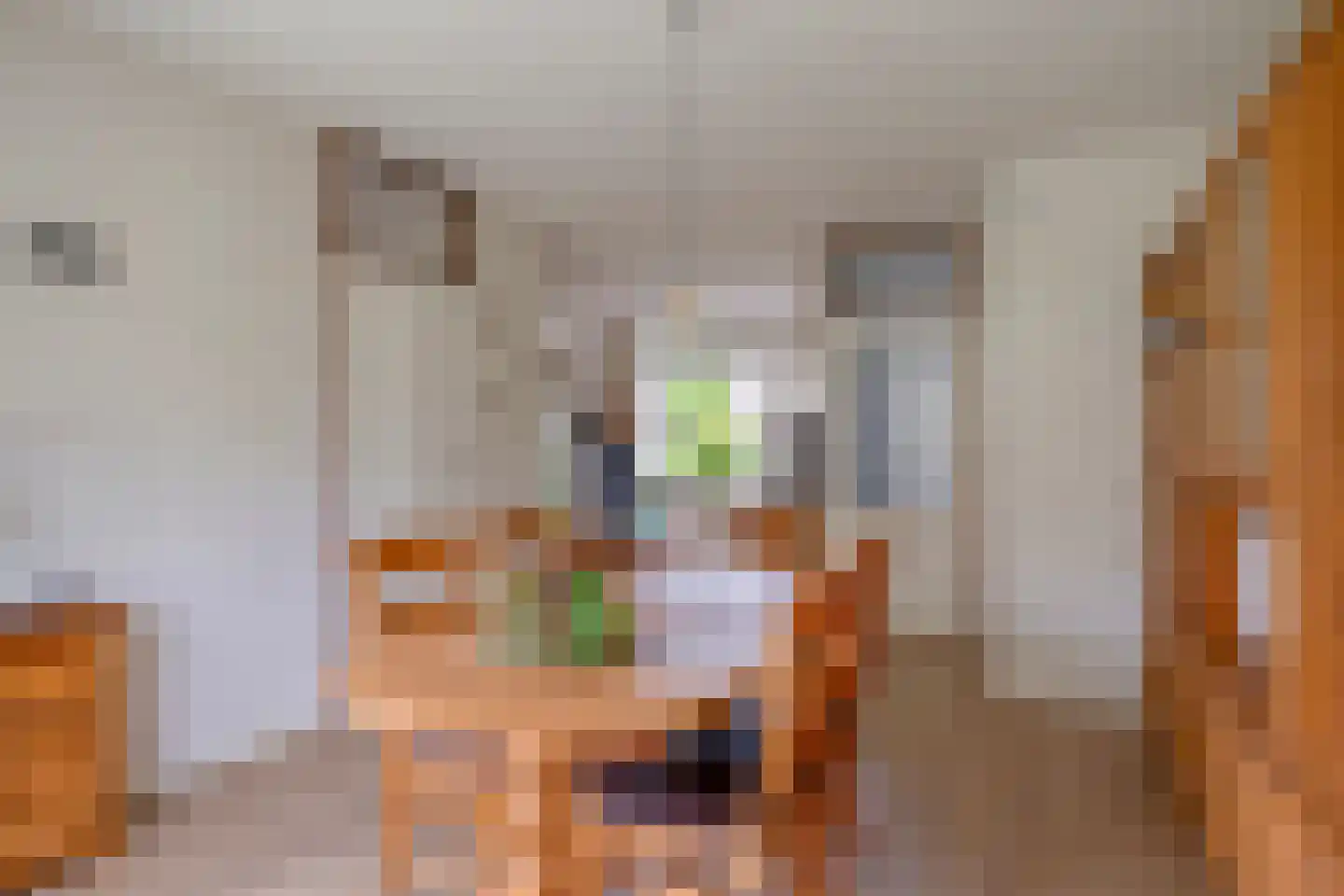Jollenpad 31 Alkmaar thumbnail 15