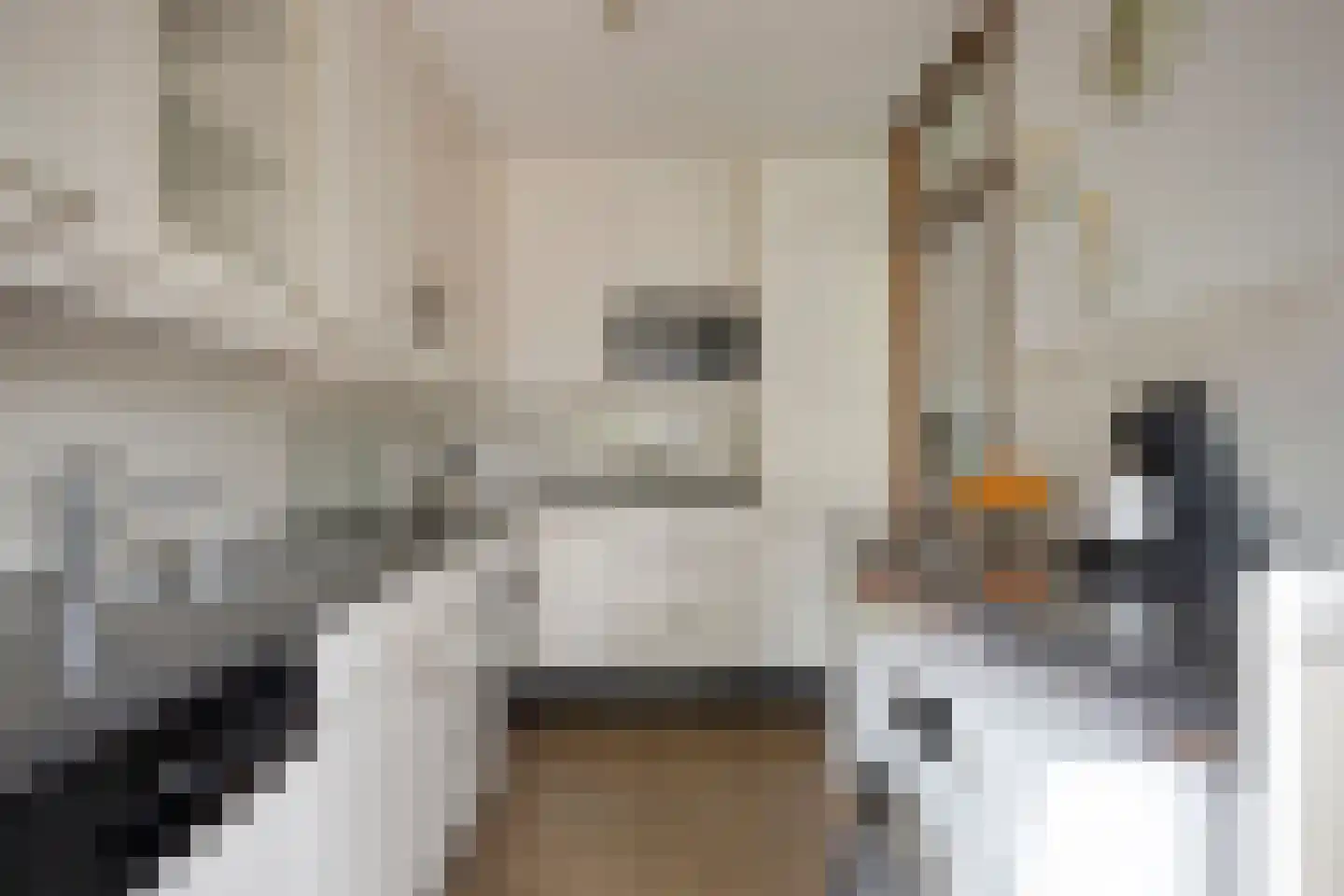 Jollenpad 31 Alkmaar thumbnail 18