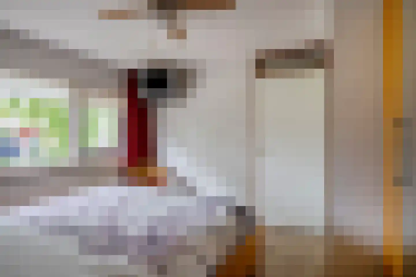 Jollenpad 31 Alkmaar thumbnail 20