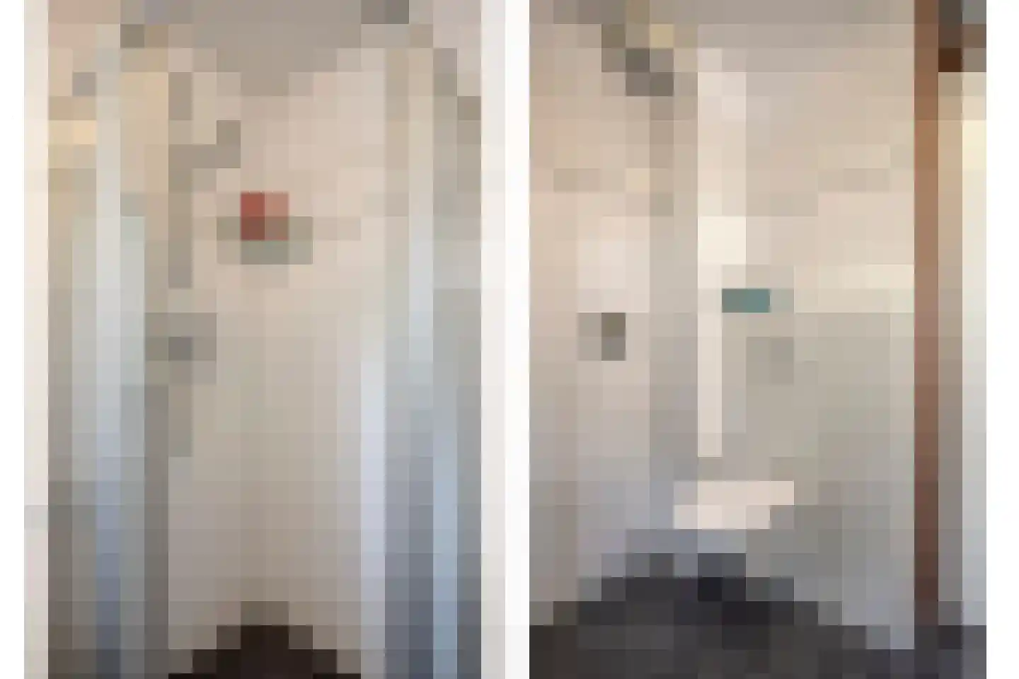 Jollenpad 31 Alkmaar thumbnail 24