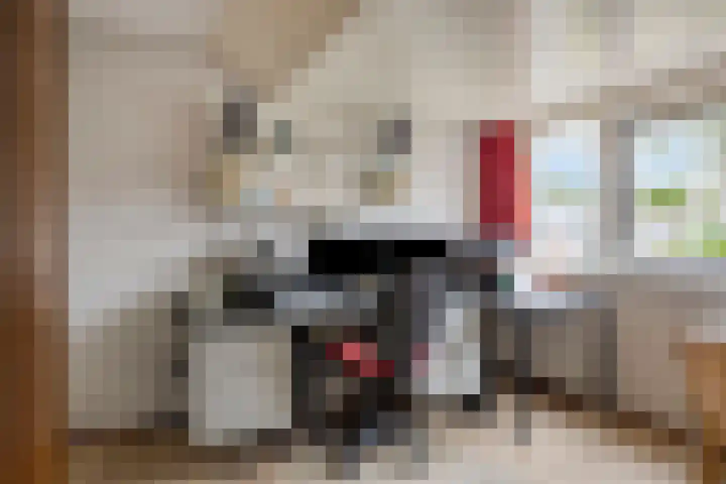 Jollenpad 31 Alkmaar thumbnail 26