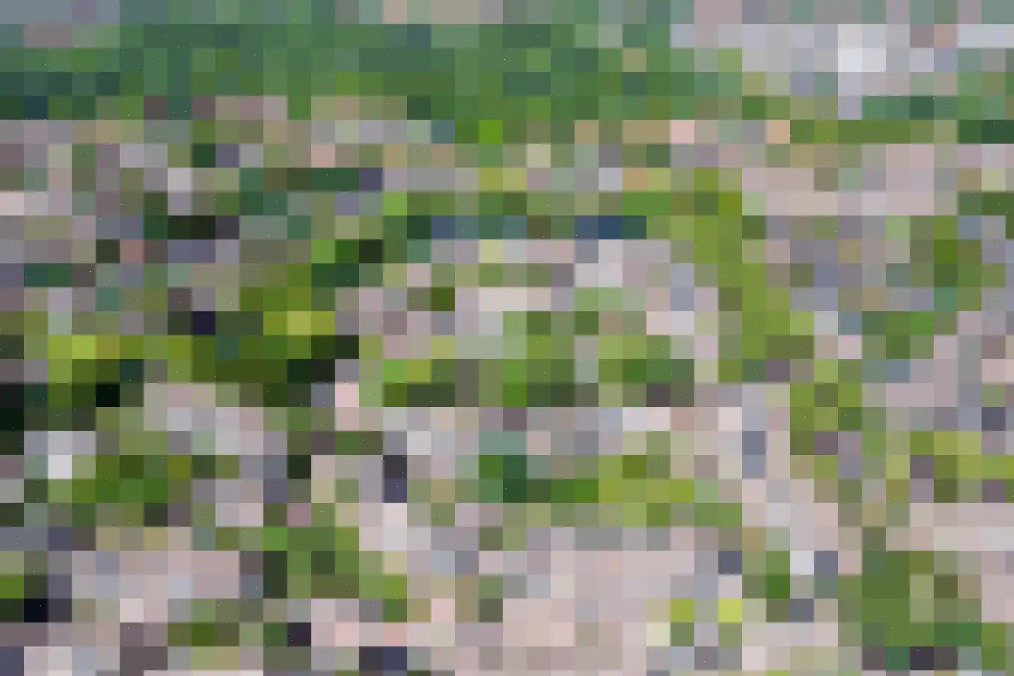 Jollenpad 31 Alkmaar thumbnail 4