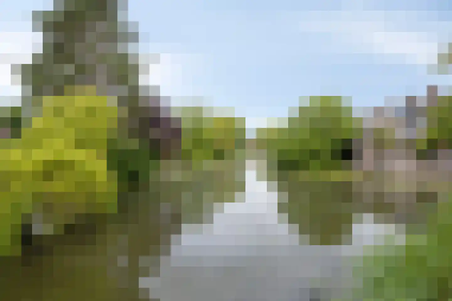Jollenpad 31 Alkmaar thumbnail 46