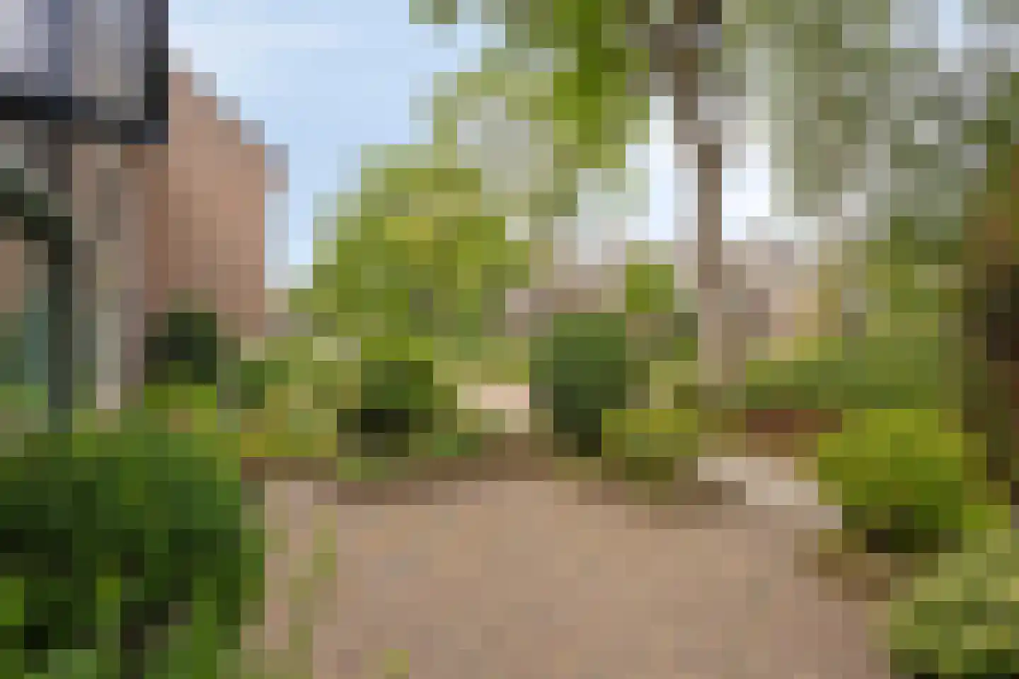 Jollenpad 31 Alkmaar thumbnail 6
