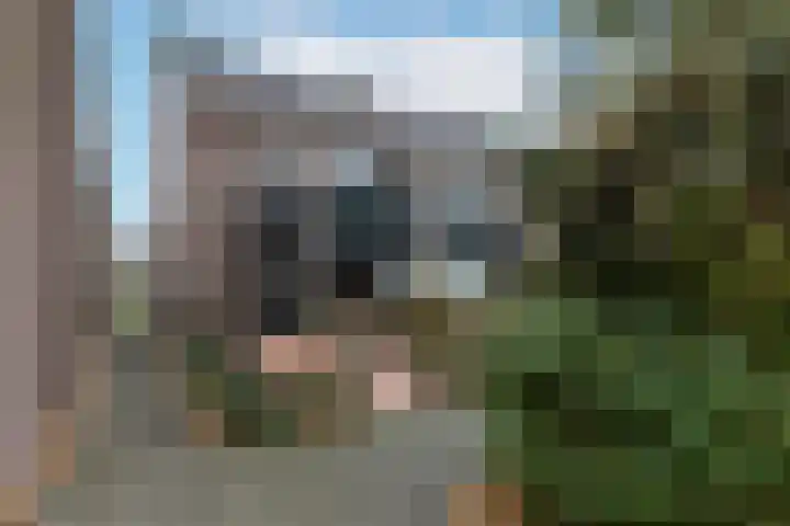 Jollenpad 33 Alkmaar