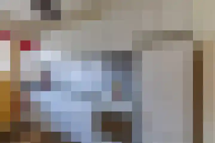 Jollenpad 33 Alkmaar thumbnail 11