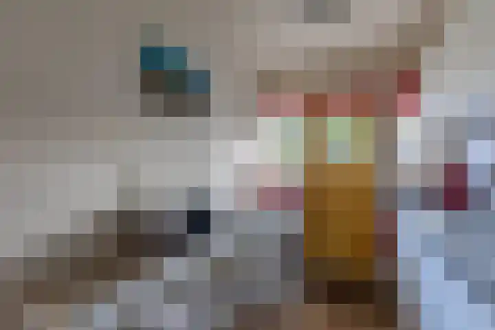 Jollenpad 33 Alkmaar thumbnail 13