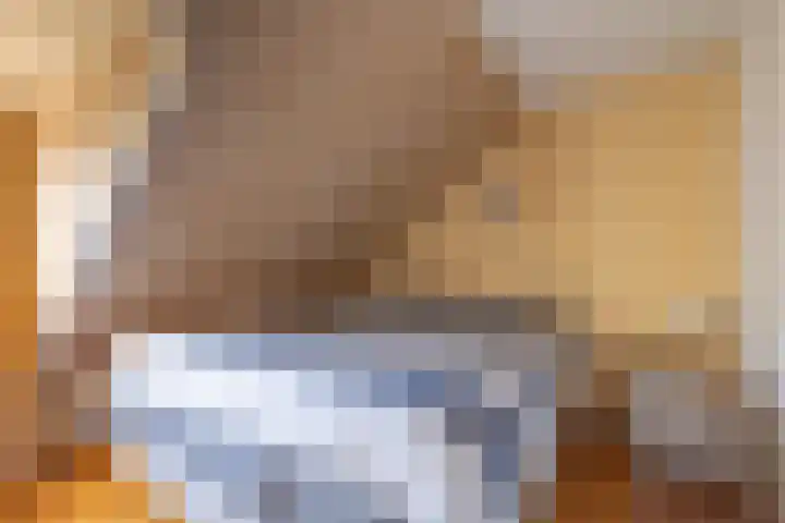Jollenpad 33 Alkmaar thumbnail 15