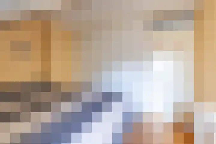 Jollenpad 33 Alkmaar thumbnail 17