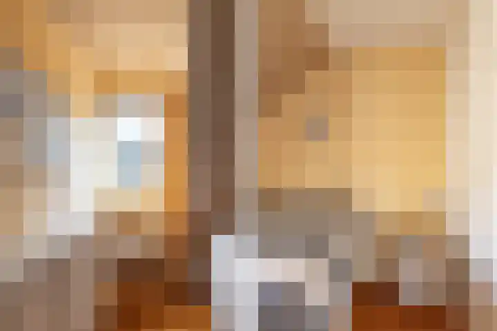 Jollenpad 33 Alkmaar thumbnail 18
