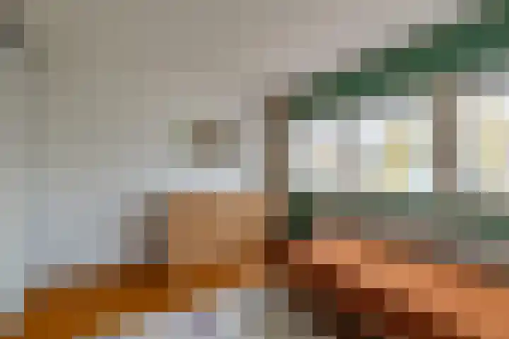 Jollenpad 33 Alkmaar thumbnail 19