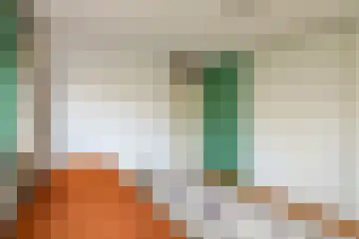 Jollenpad 33 Alkmaar thumbnail 21