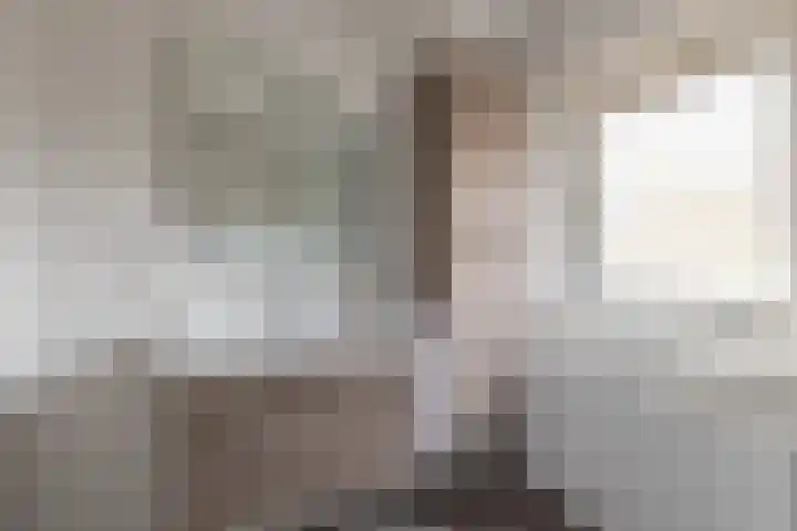 Jollenpad 33 Alkmaar thumbnail 25