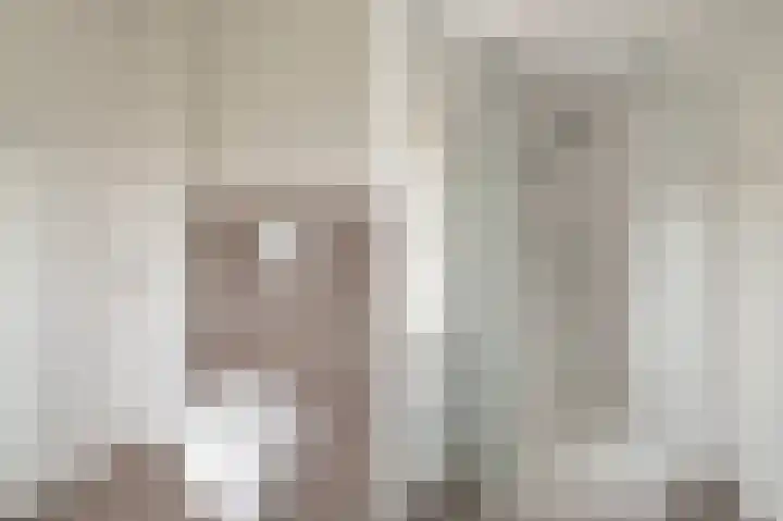 Jollenpad 33 Alkmaar thumbnail 26