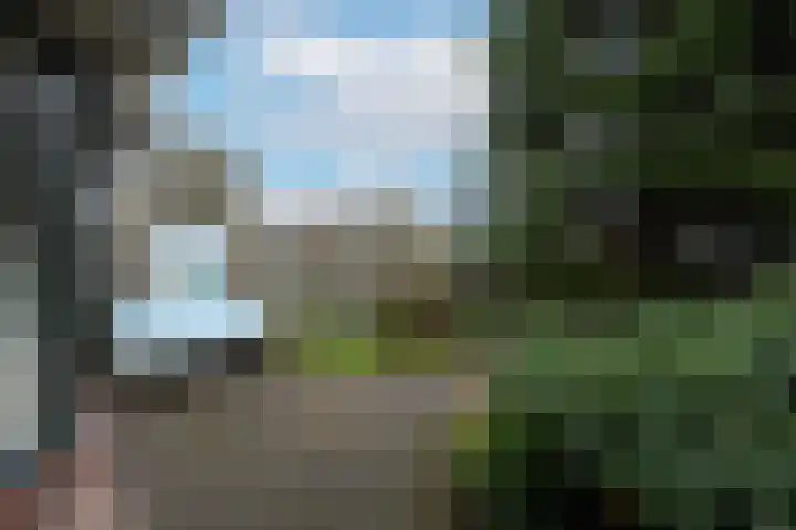 Jollenpad 33 Alkmaar thumbnail 27