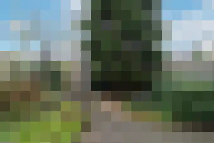 Jollenpad 33 Alkmaar thumbnail 28