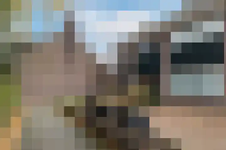 Jollenpad 33 Alkmaar thumbnail 30