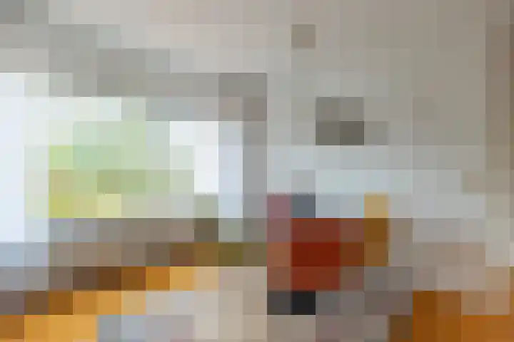 Jollenpad 33 Alkmaar thumbnail 9