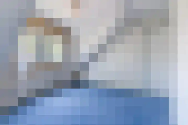 Jollenpad 34 Alkmaar thumbnail 13