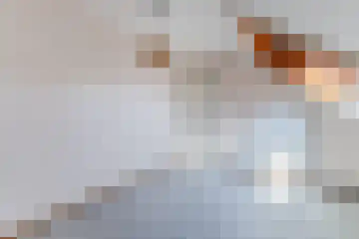 Jollenpad 34 Alkmaar thumbnail 15