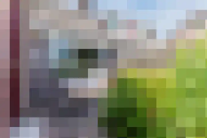 Jollenpad 34 Alkmaar thumbnail 19
