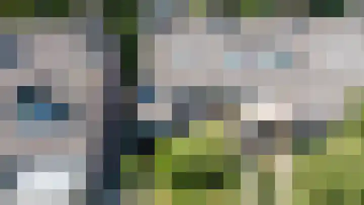 Jollenpad 34 Alkmaar thumbnail 23