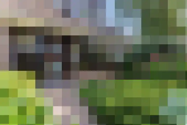Jollenpad 34 Alkmaar thumbnail 24