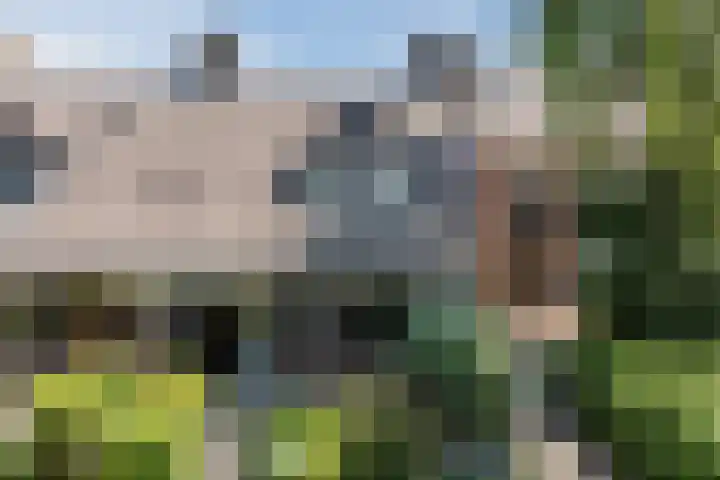 Jollenpad 34 Alkmaar thumbnail 30