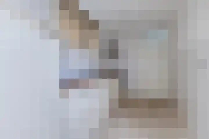 Jollenpad 34 Alkmaar thumbnail 8