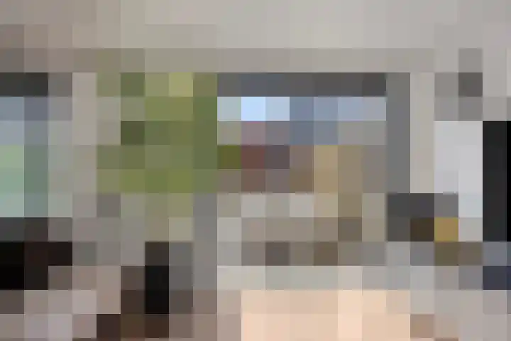 Jollensteiger 66 Zwijndrecht thumbnail 10