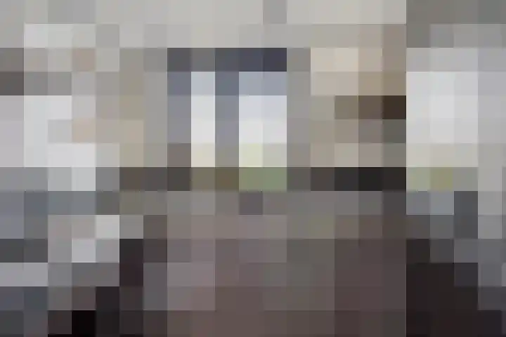Jollensteiger 66 Zwijndrecht thumbnail 15
