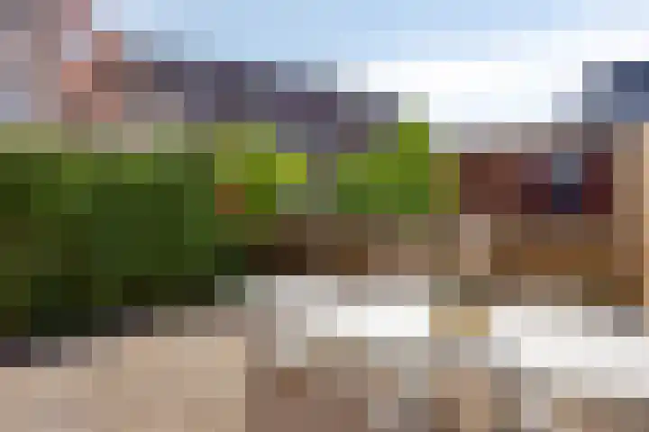 Jollensteiger 66 Zwijndrecht thumbnail 21