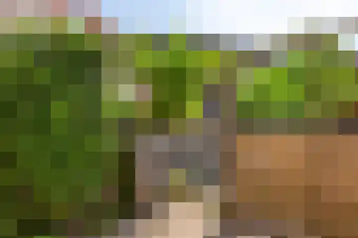 Jollensteiger 66 Zwijndrecht thumbnail 24