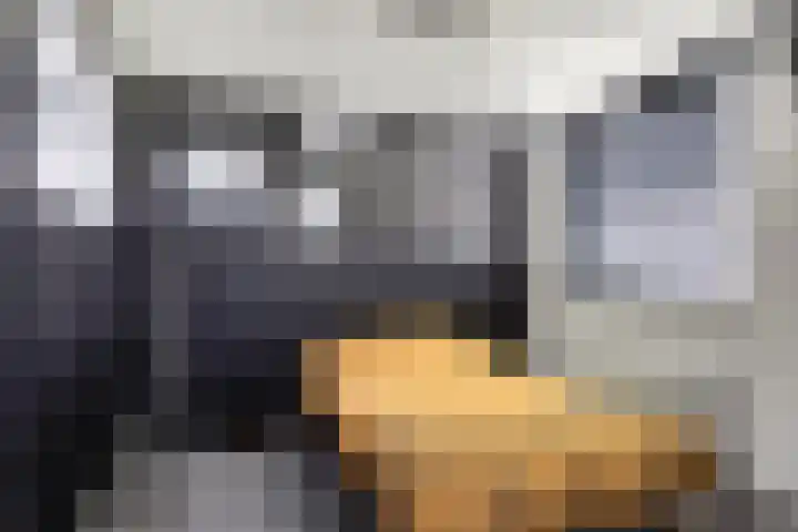 Jollensteiger 66 Zwijndrecht thumbnail 32