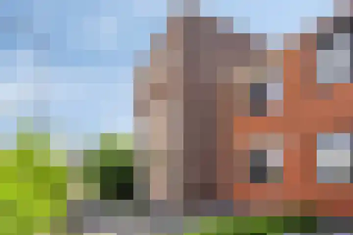 Jollensteiger 66 Zwijndrecht thumbnail 47
