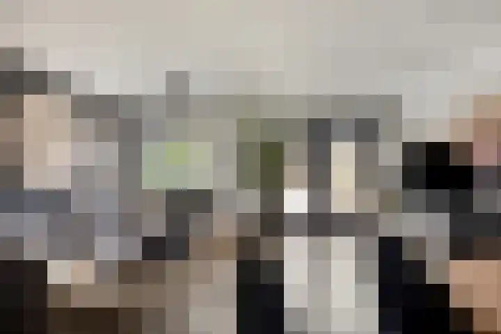 Jollensteiger 66 Zwijndrecht thumbnail 5