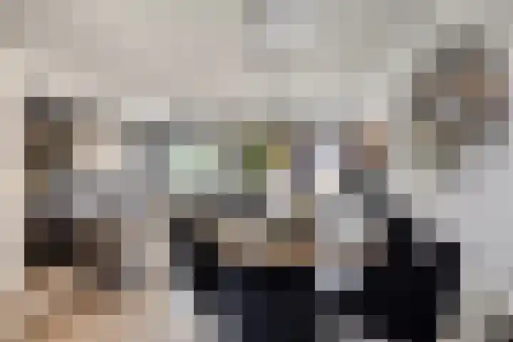 Jollensteiger 66 Zwijndrecht thumbnail 6