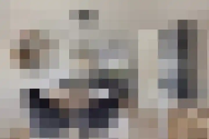 Jollensteiger 66 Zwijndrecht thumbnail 8