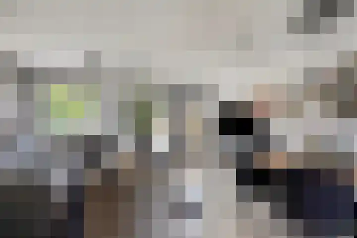 Jollensteiger 66 Zwijndrecht thumbnail 9
