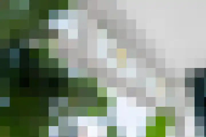 Jollenstraat 2 a Sneek thumbnail 21