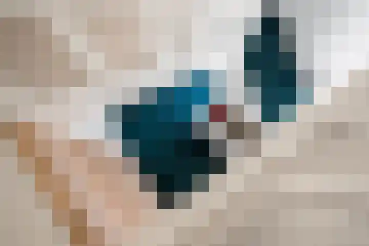 Jollenstraat 2 a Sneek thumbnail 42