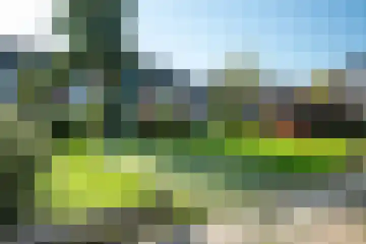 Jollenstraat 2 a Sneek thumbnail 54