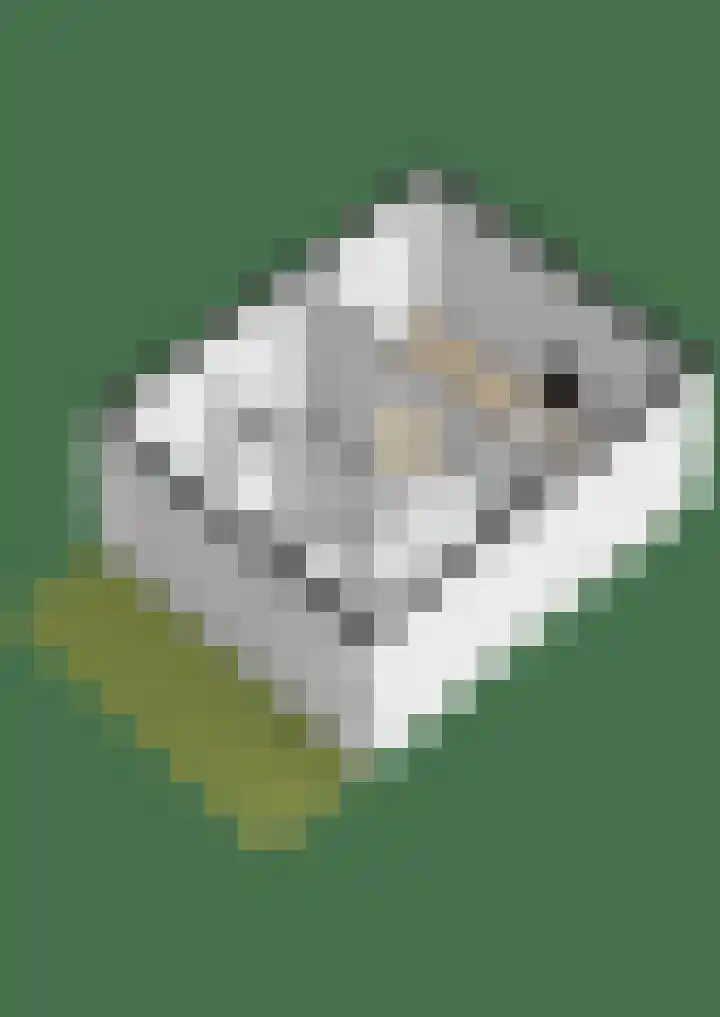 Jollenstraat 2 a Sneek thumbnail 64