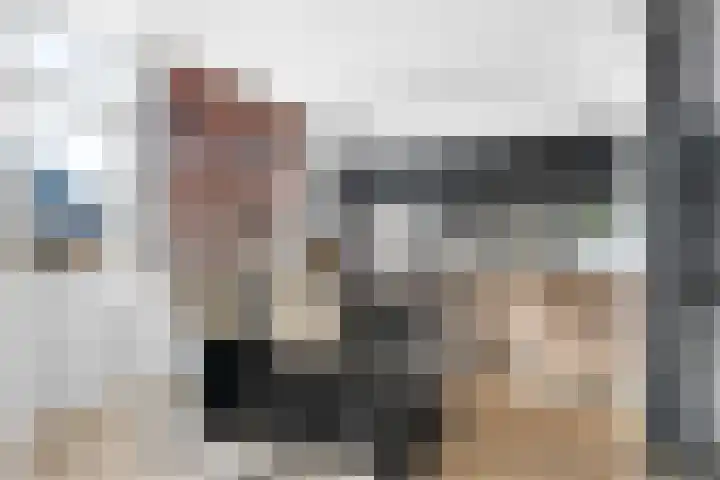 Jollenstraat 2 a Sneek thumbnail 8