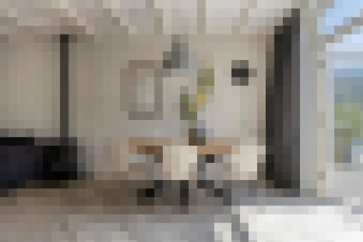 Jollenstraat 6 Sneek thumbnail 12